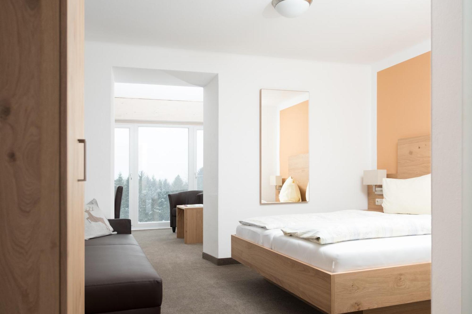 Superior Double Room Mountain View